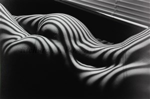 Image description is not available for 2012.072